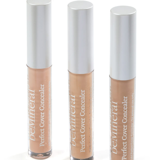Perfect Cover Concealer